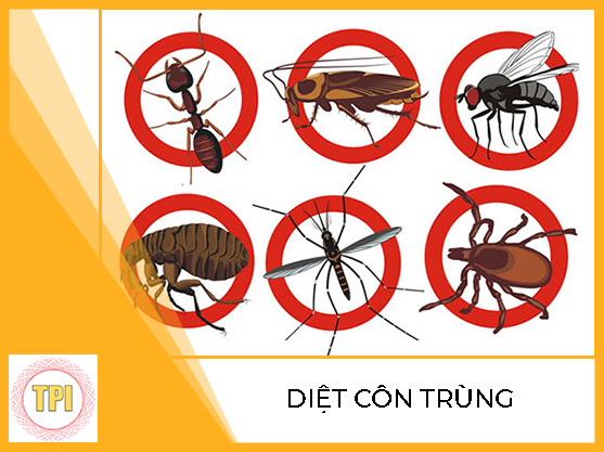 CÔNG TY TNHH INSECTICIDES TẤN PHÁT